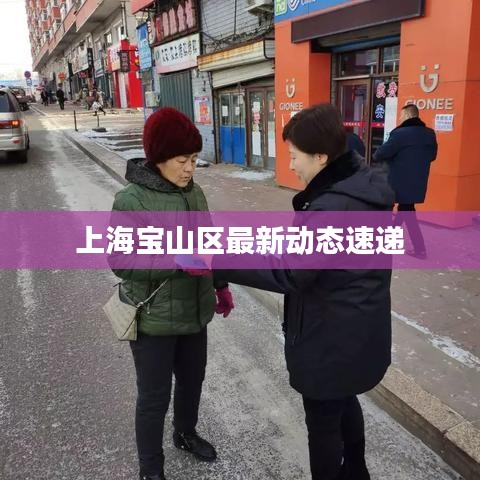 飞扬跋扈