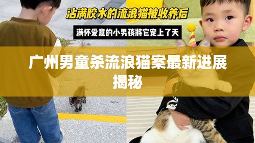 广州男童杀流浪猫案最新进展揭秘