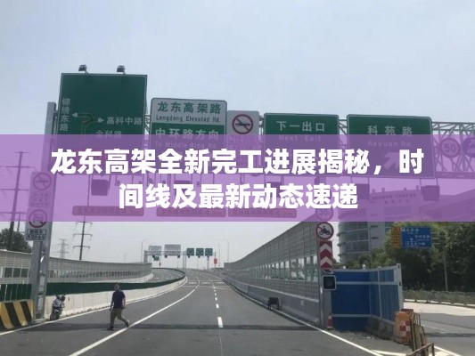龙东高架全新完工进展揭秘，时间线及最新动态速递