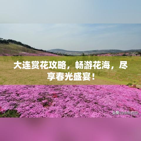 雍容华贵 第2页