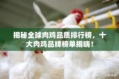 揭秘全球肉鸡品质排行榜，十大肉鸡品牌榜单揭晓！