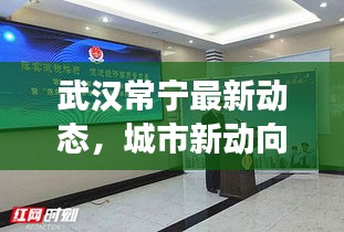 武汉常宁最新动态，城市新动向与发展亮点聚焦