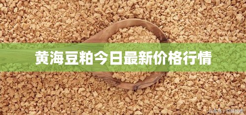 黄海豆粕今日最新价格行情