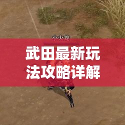 武田最新玩法攻略详解，图文结合，助你轻松掌握技巧！