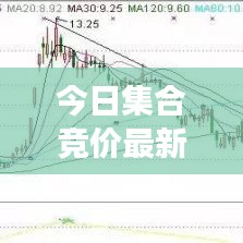 今日集合竞价最新动态，市场走势深度分析与预测