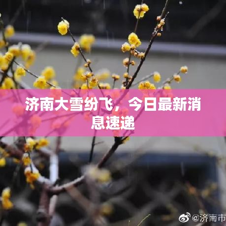 济南大雪纷飞，今日最新消息速递