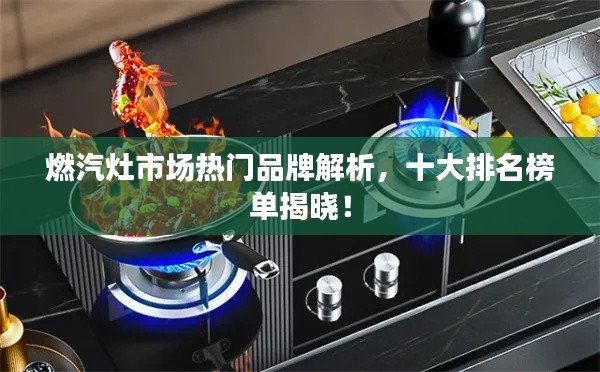 燃汽灶市场热门品牌解析，十大排名榜单揭晓！
