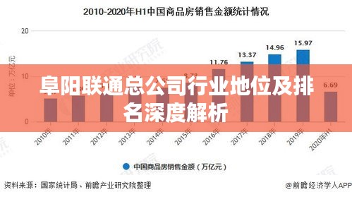 阜阳联通总公司行业地位及排名深度解析