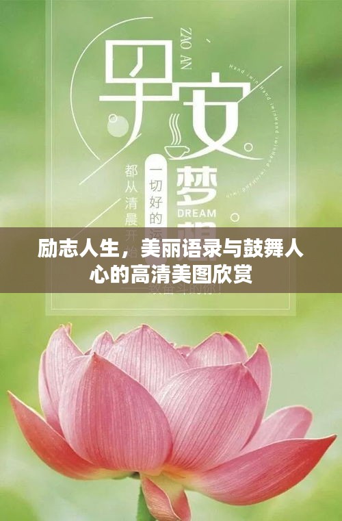 励志人生，美丽语录与鼓舞人心的高清美图欣赏