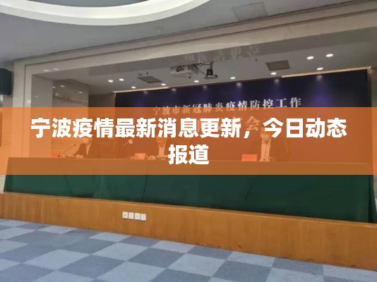宁波疫情最新消息更新，今日动态报道