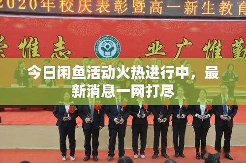 今日闲鱼活动火热进行中，最新消息一网打尽