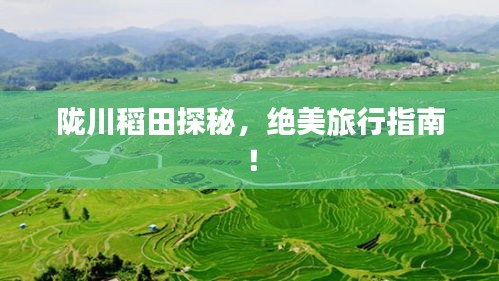 陇川稻田探秘，绝美旅行指南！