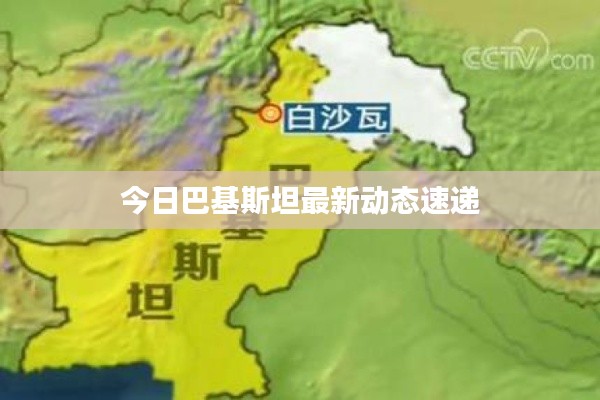 今日巴基斯坦最新动态速递