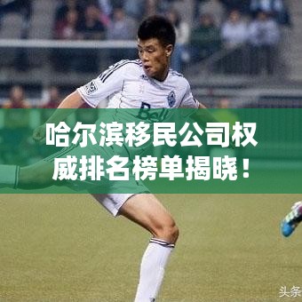 哈尔滨移民公司权威排名榜单揭晓！
