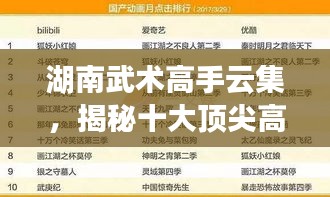 湖南武术高手云集，揭秘十大顶尖高手排名榜单！