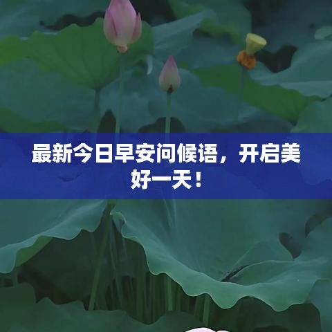 最新今日早安问候语，开启美好一天！