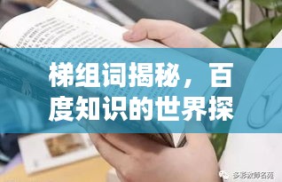 梯组词揭秘，百度知识的世界探索