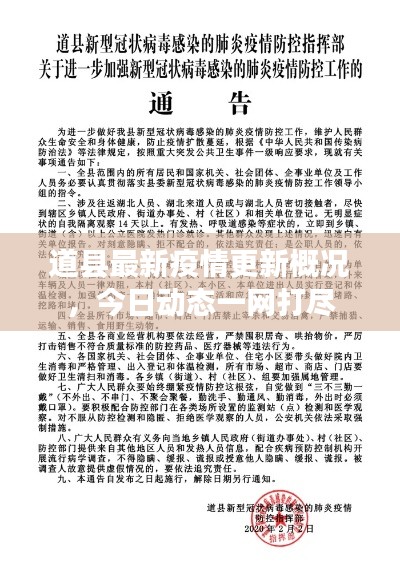 道县最新疫情更新概况，今日动态一网打尽