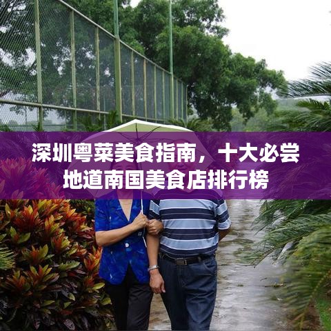 深圳粤菜美食指南，十大必尝地道南国美食店排行榜