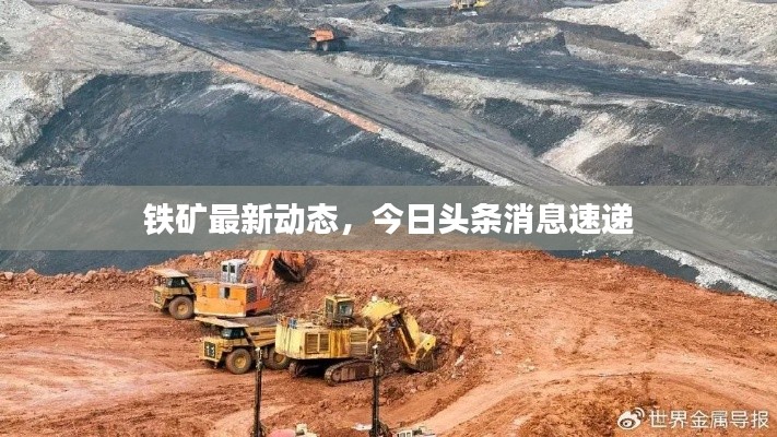 铁矿最新动态，今日头条消息速递