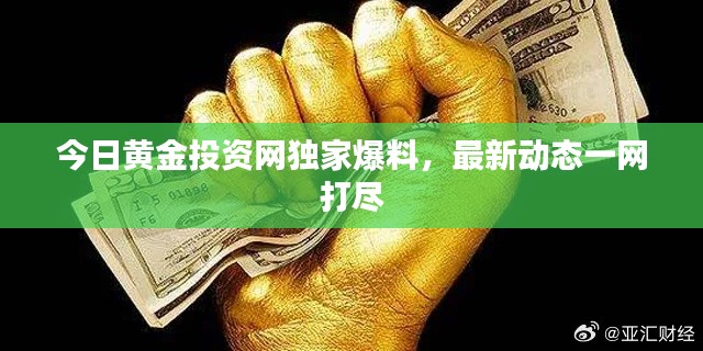 今日黄金投资网独家爆料，最新动态一网打尽