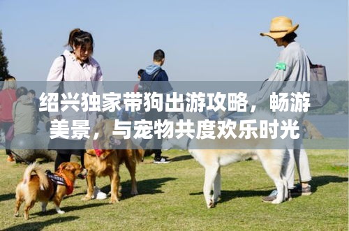 绍兴独家带狗出游攻略，畅游美景，与宠物共度欢乐时光