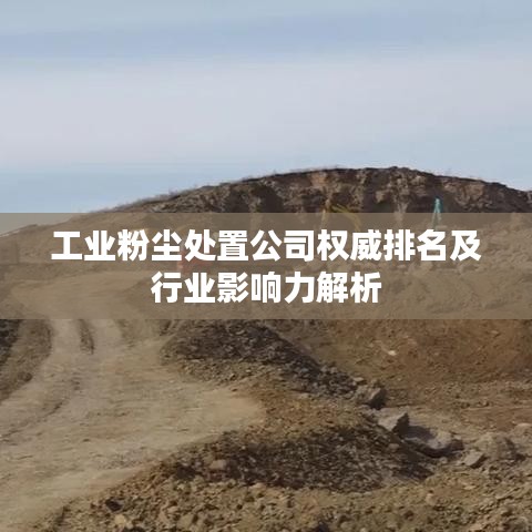 工业粉尘处置公司权威排名及行业影响力解析