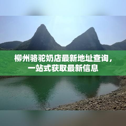 柳州骆驼奶店最新地址查询，一站式获取最新信息