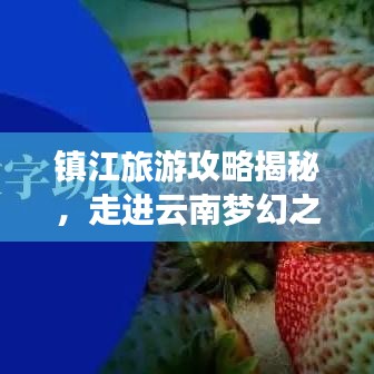 镇江旅游攻略揭秘，走进云南梦幻之旅的奇幻秘境！