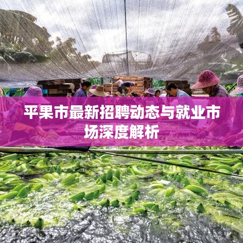 平果市最新招聘动态与就业市场深度解析