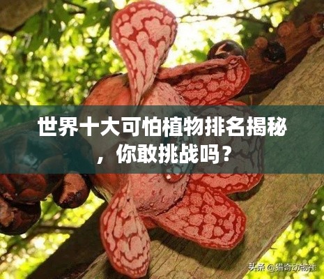 世界十大可怕植物排名揭秘，你敢挑战吗？