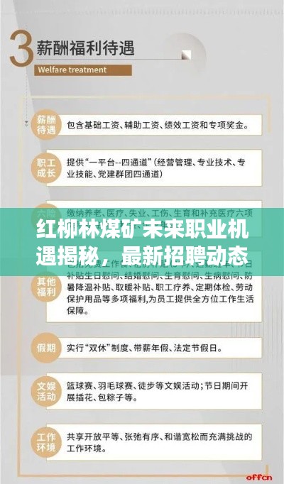 红柳林煤矿未来职业机遇揭秘，最新招聘动态（2025年）