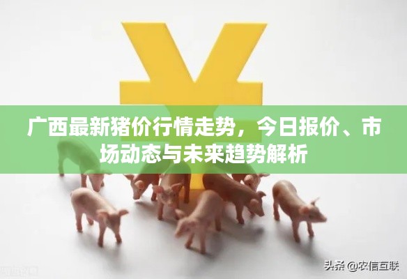 广西最新猪价行情走势，今日报价、市场动态与未来趋势解析