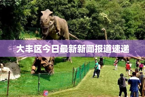 大丰区今日最新新闻报道速递