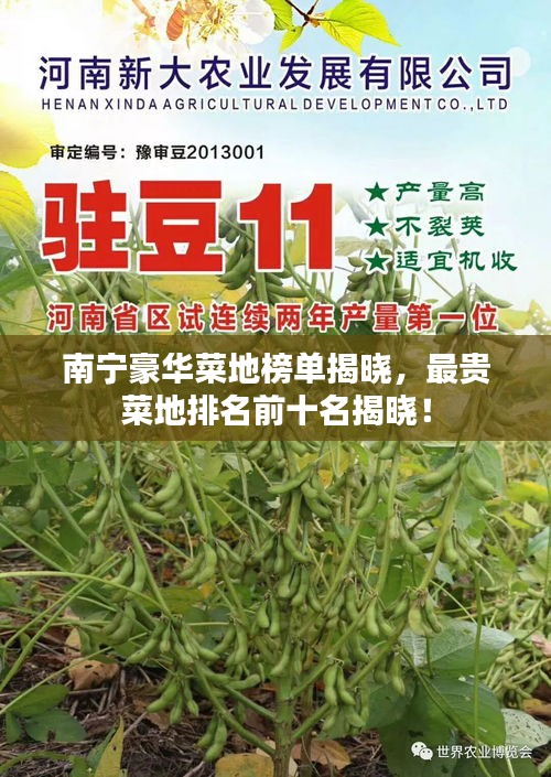 南宁豪华菜地榜单揭晓，最贵菜地排名前十名揭晓！