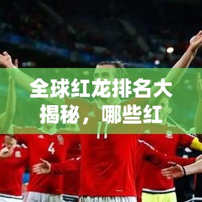 全球红龙排名大揭秘，哪些红龙荣登榜首？
