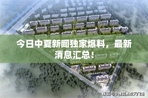 今日中夏新闻独家爆料，最新消息汇总！