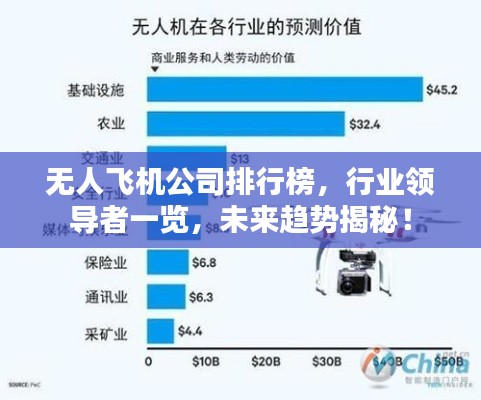 无人飞机公司排行榜，行业领导者一览，未来趋势揭秘！
