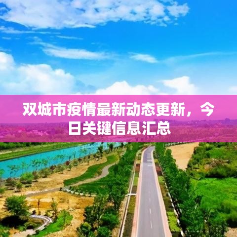 双城市疫情最新动态更新，今日关键信息汇总