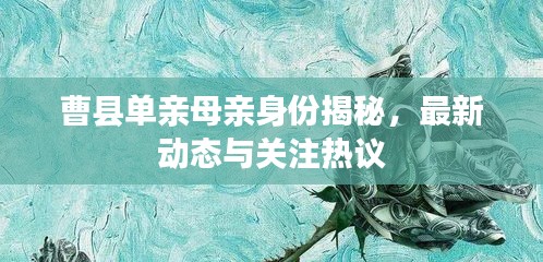 曹县单亲母亲身份揭秘，最新动态与关注热议