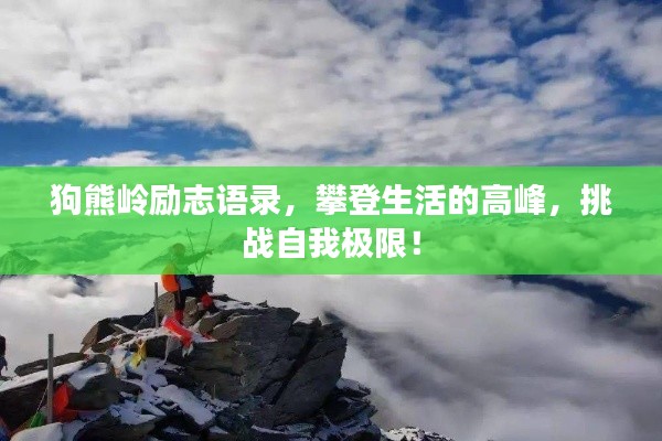 狗熊岭励志语录，攀登生活的高峰，挑战自我极限！
