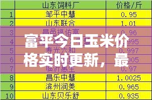 富平今日玉米价格实时更新，最新行情一览