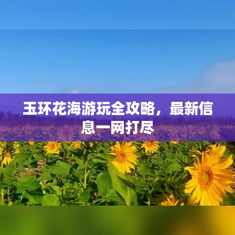 玉环花海游玩全攻略，最新信息一网打尽