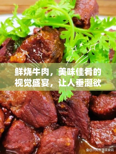鲜烧牛肉，美味佳肴的视觉盛宴，让人垂涎欲滴！