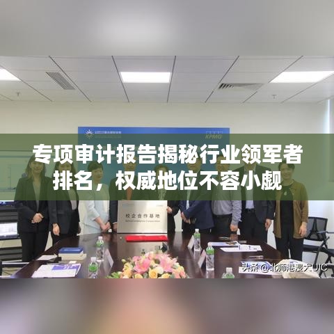 专项审计报告揭秘行业领军者排名，权威地位不容小觑