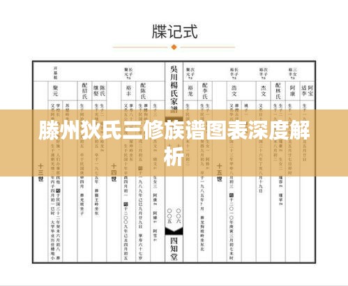 滕州狄氏三修族谱图表深度解析