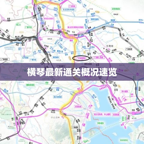 横琴最新通关概况速览