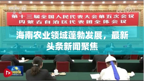 海南农业领域蓬勃发展，最新头条新闻聚焦