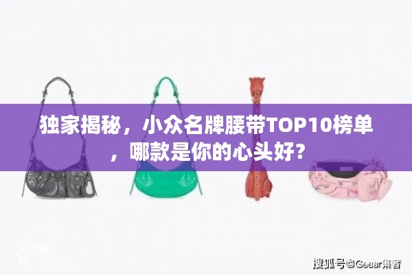 独家揭秘，小众名牌腰带TOP10榜单，哪款是你的心头好？