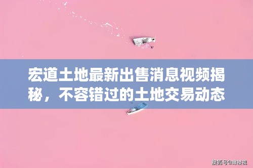 宏道土地最新出售消息视频揭秘，不容错过的土地交易动态！